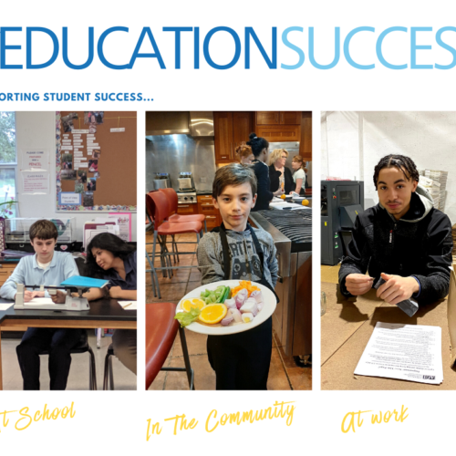 Copy of educationsuccess 2020